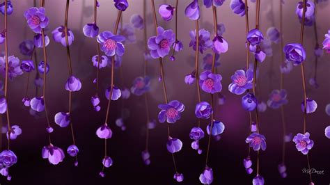 Wallpaper : 1920x1080 px, purple flowers 1920x1080 - wallbase - 1423329 ...