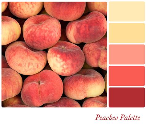 Peach Hues Color Palette Color Palette Pink Peach Color Palettes | My XXX Hot Girl
