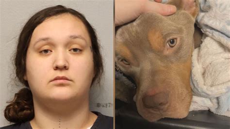 Duluth Woman Charged After 'Severely Malnourished' Dog Dies - Fox21Online