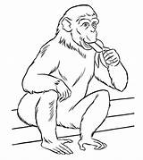Top 25 Free Printable Zoo Coloring Pages Online sketch template