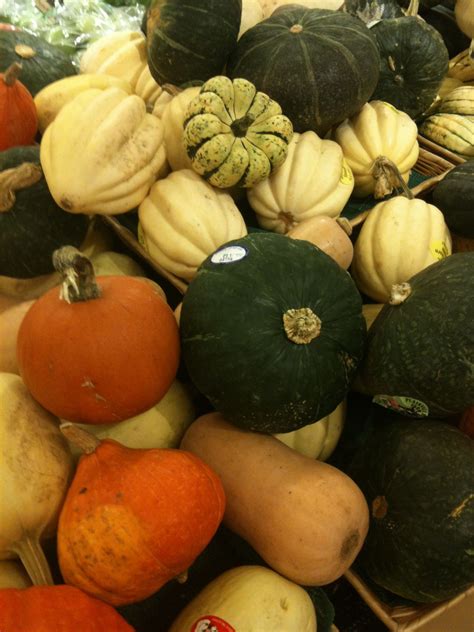 Assorted Gourds | Recipe collection, Original recipe, Pumpkin