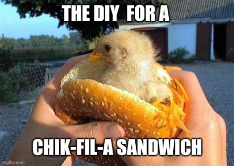 Chicken Sandwich Memes - Imgflip