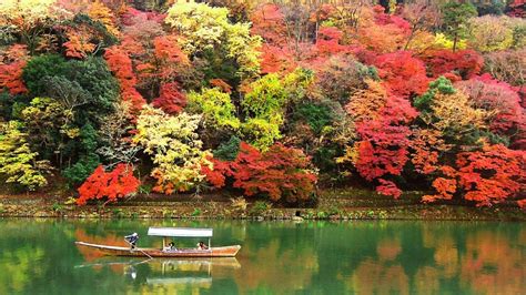 干货 |日本红叶季赏枫指南（🍁情报&时间预测+京都赏枫名所+岚山酒店餐厅推荐）