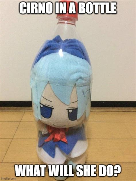 cirno fumo in bottle Memes - Imgflip