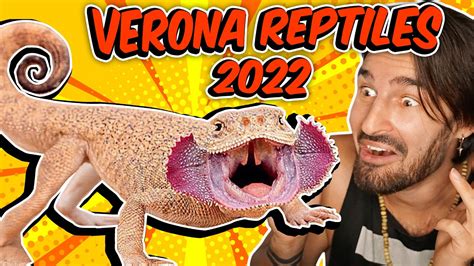 Verona Reptiles 2022 - YouTube