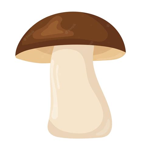 Premium Vector | Mushroom on white background in flat design