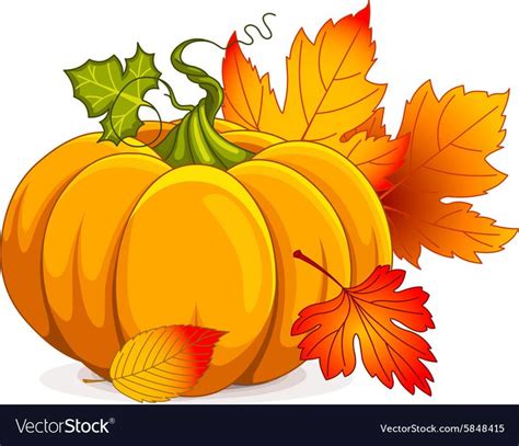 two pumpkins with autumn leaves on a white background stock photo and royalty free images