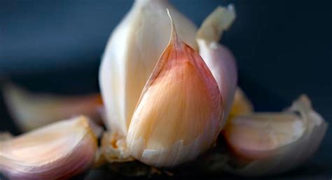 Scientific Explanation: Why Does Garlic Give Bad Breath? - Teknonel