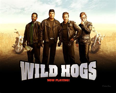 John Travolta in "Wild Hogs", 2007. | The stranger movie, Biker movies ...