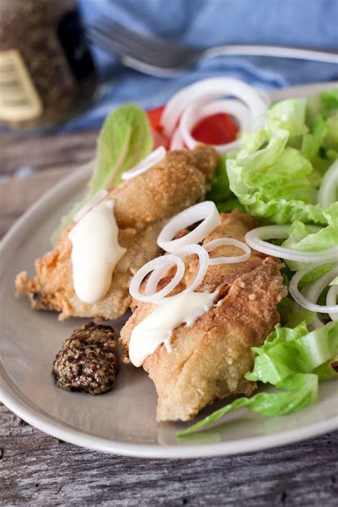 Fish salad stock image. Image of japan, cooking, onions - 1284133