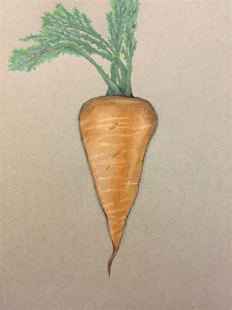 Carrot Pencil Drawing: A Step-by-Step Guide to Create a Realistic Artwork