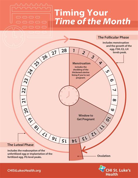 Understanding The Menstrual Cycle | Hot Sex Picture