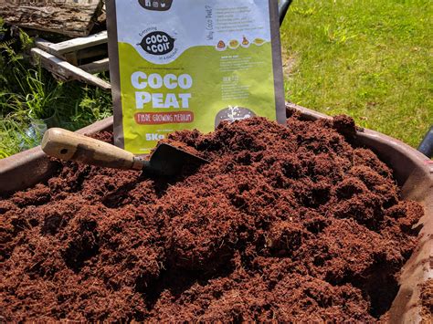 Product review: Coco and Coir compost – The Carrot Tops Allotment Blog!