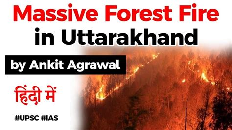 Uttarakhand Forest Fire 2020 - Reason behind frequent forest fires in ...