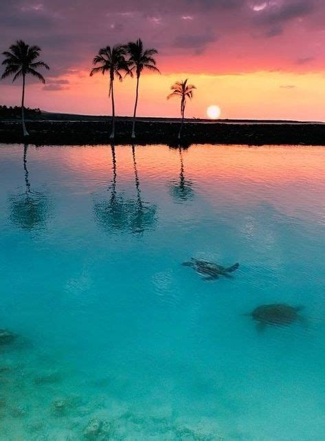 Siesta Key, FL by Tropical Beach Resorts Siesta Key (With images) | Nature photography, Tropical ...