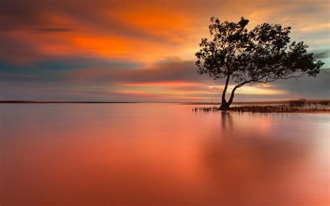 bonne journée de photographie de la nature - imagenes fond d'écran hd ...