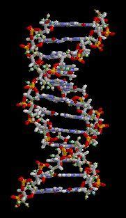 Privacy Implications of DNA Testing