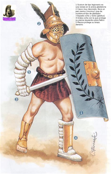 Ancient Roman Gladiators Types