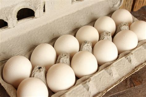 Eggs, Cage-Free White (Dozen) (1 doz) | Farmbox Florida