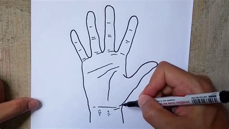 How to Draw Open Hand (Palm): Easy Hands Sketch & Outline Drawing Step ...