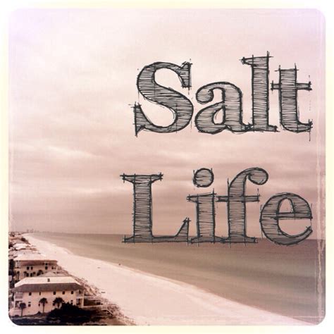 Salt And Sayings Quotes. QuotesGram