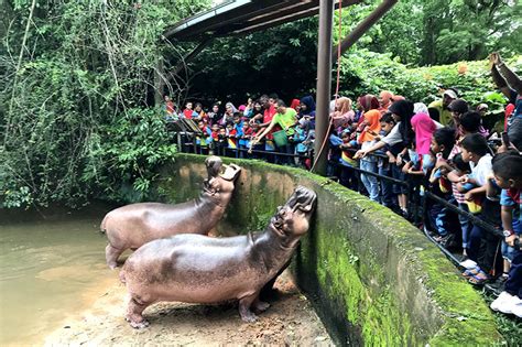 Zoo Taiping