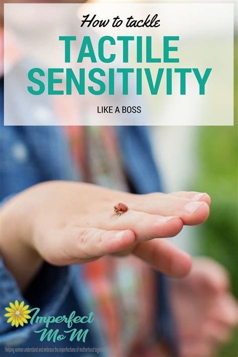Tactile Sensitivity- How to Support The Tactile Sense Like A Boss | Olfaktorisch, Reiseziele, Reisen