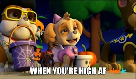 Paw Patrol Meme - High AF by mollymolata on DeviantArt