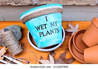 Wet My Plants: Over 935 Royalty-Free Licensable Stock Photos | Shutterstock