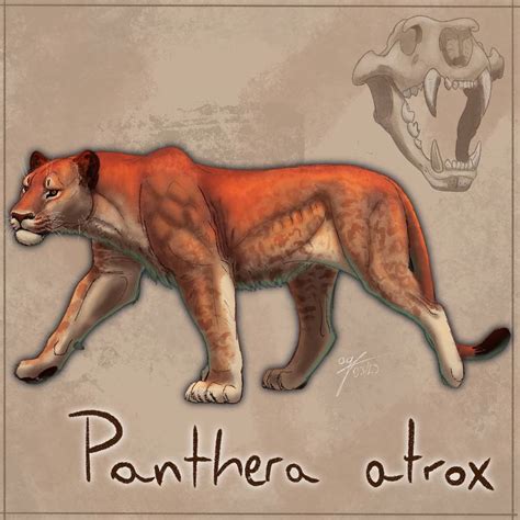 Panthera atrox - The American Lion by allotyrannosaurus on DeviantArt