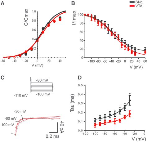 Some biophysical properties of L-type calcium channels are different in... | Download Scientific ...