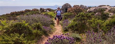 Elba Hiking | To the top! – Active Travel Tuscany