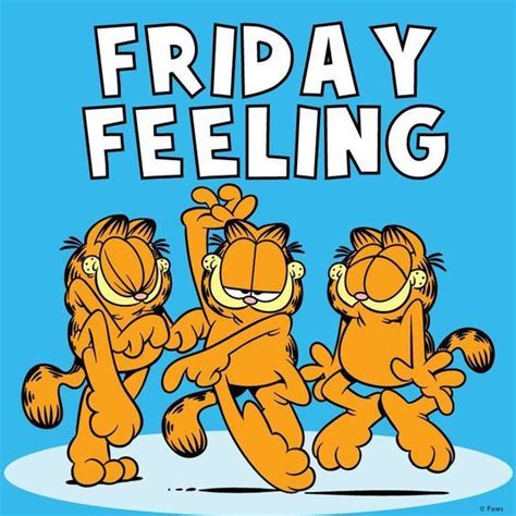 Friday Feeling | Friday quotes funny, Friday feeling, Friday humor