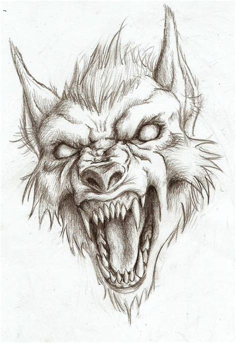 Ferocious Werewolf Drawing