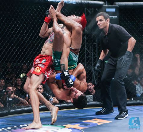 Combate Americas video: Insane armbar elicits F-bomb from commentator