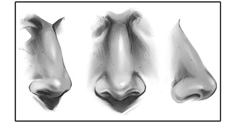 How To Draw A Nose For Kids - img-Abimelech