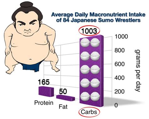 How to eat like a sumo wrestler - Diet Doctor | Sumo wrestler, Wrestler ...