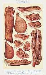 Speck - Wikipedia