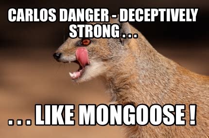 Meme Maker - Carlos Danger - deceptively strong . . . . . . like Mongoose ! Meme Generator!