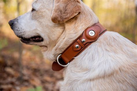 Faux Leather Apple Airtag Dog Collar by Nine Twenty Eight Co™ | Etsy Canada