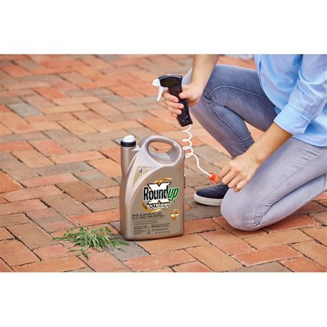 Roundup Extended Control 1-Gallon Trigger Spray Weed and Grass Killer ...