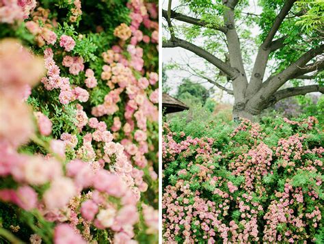 Photo Diary: Los Angeles Arboretum - Blooming Suitcase