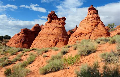 THE 15 BEST Things to Do in Kanab (2024) - Must-See Attractions