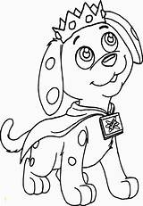Woofster Coloring Pages  divyajananiorg sketch template