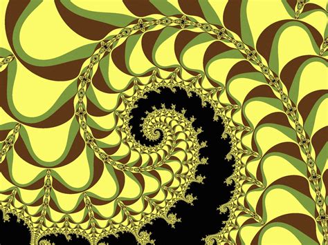 Fractal Spiral Free Stock Photo - Public Domain Pictures
