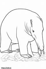 Anteater Playing coloring Page sketch template