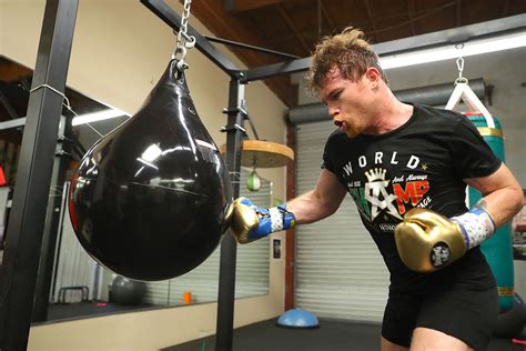 Canelo Alvarez Training Camp Notes as He Prepares for Gennady Golovkin ...