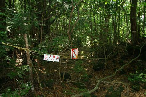 Aokigahara - The Suicide Forest Of Japan ⋆ Mysterious Facts