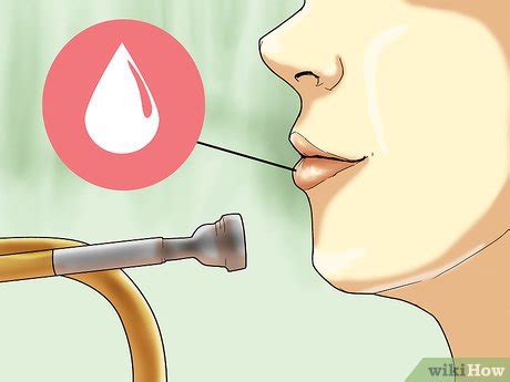 How to Develop Embouchure on Trumpet: 11 Steps (with Pictures)