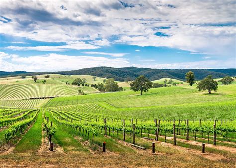 Wine Tour of the Barossa Valley, Australia | Audley Travel US